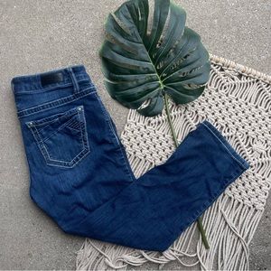 Daytrip Cropped Jeans Size 30